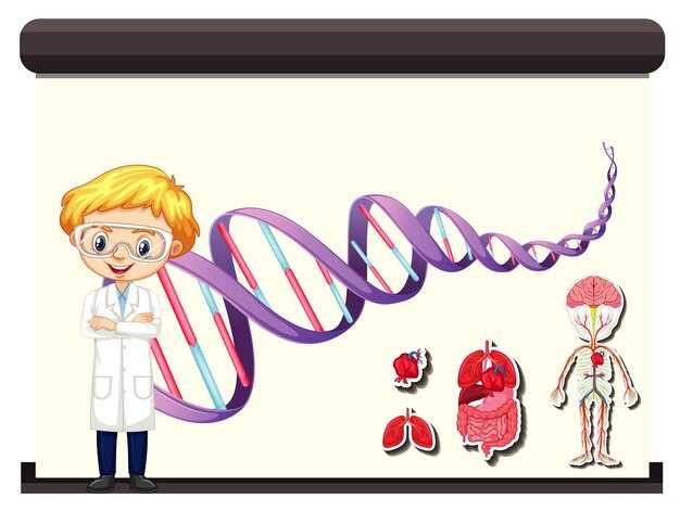 Значение Х- и Y-хромосом для определения пола ребенка